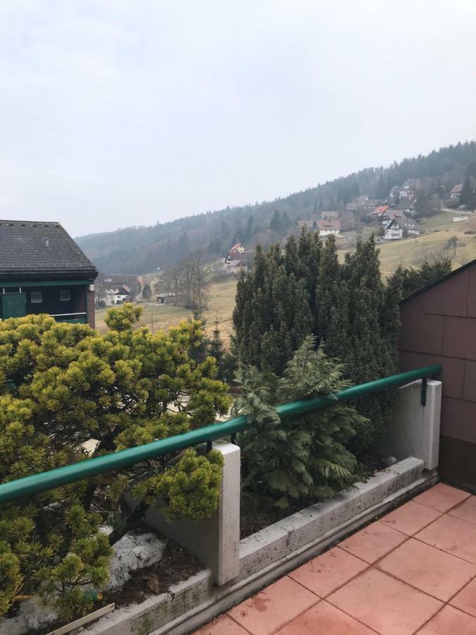 Ferienwohnung Im Terrassenpark Sasbachwalden Brandmatt Zewnętrze zdjęcie